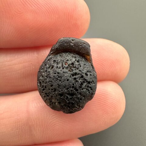 Australit “knoflík” 1,6g – Kalgoorlie, Západní Austrálie