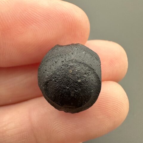 Australit “knoflík” 1,8g – Kalgoorlie, Západní Austrálie