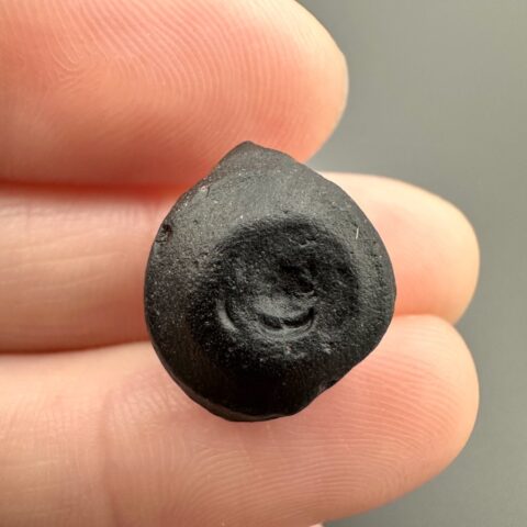 Australit “knoflík” 1,8g – Kalgoorlie, Západní Austrálie