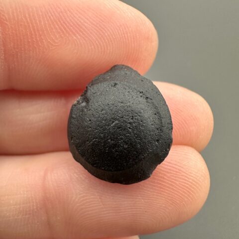 Australit “knoflík” 1,8g – Kalgoorlie, Západní Austrálie