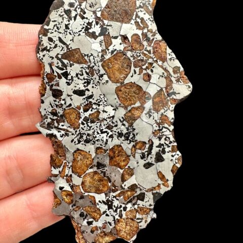 Meteorit Hassi el Biod 002 – 28,3g – Alžírsko