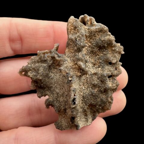 Fulgurit 5,7g – Libyjská poušť, Egypt