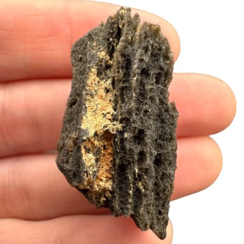 Muong Nong 8,8g – Jižní Laos