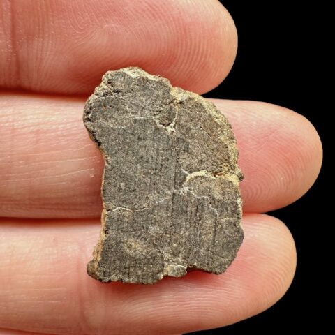 Meteorit Al Haggounia 001 – 1,3g – Západní Sahara