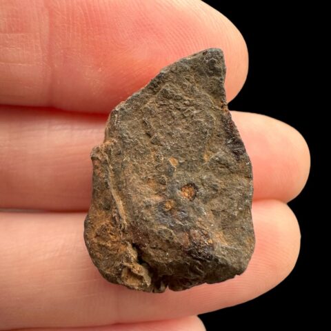 Meteorit Canyon Diablo 8,3g – Arizona, USA