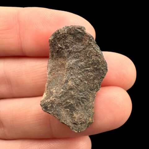 Meteorit Canyon Diablo 9,1g – Arizona, USA