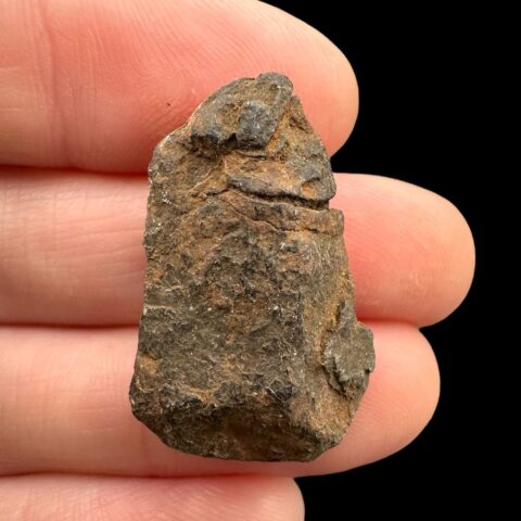 Meteorit Canyon Diablo 9,1g – Arizona, USA