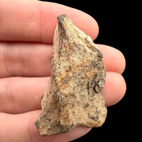 Meteorit Canyon Diablo 25,1g – Arizona, USA