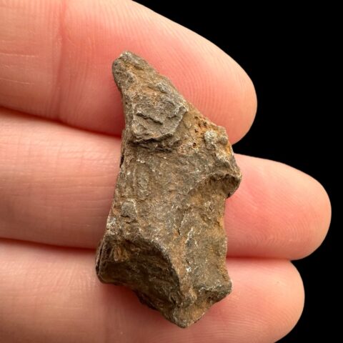 Meteorit Canyon Diablo 6,5g – Arizona, USA