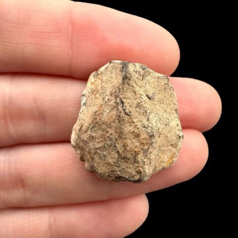 Meteorit Canyon Diablo 16,6g – Arizona, USA