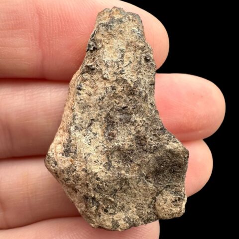Meteorit Canyon Diablo 16,2g – Arizona, USA