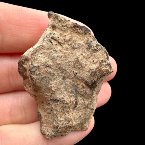 Meteorit Canyon Diablo 45,5g – Arizona, USA