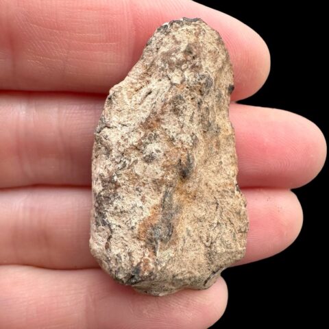 Meteorit Canyon Diablo 25,9g – Arizona, USA