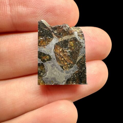 Meteorit Pallasit Pallasovka 6g – Rusko
