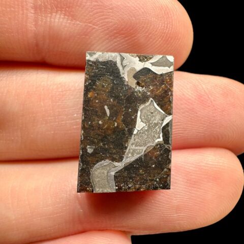 Meteorit Pallasit Pallasovka 4g – Rusko
