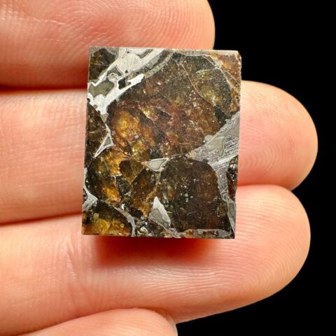 Meteorit Pallasit Pallasovka 4,1g – Rusko