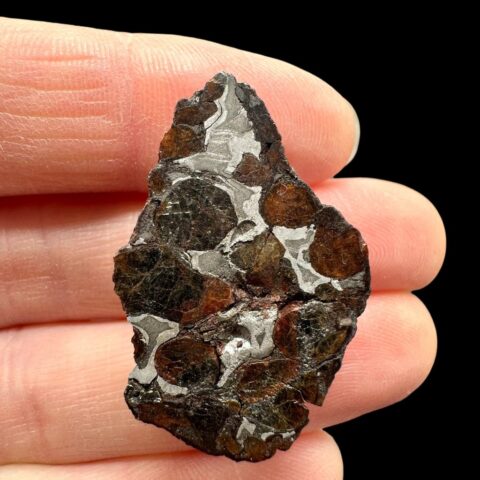 Meteorit Seymchan 9,3g / koncový řez – Magadan, Rusko