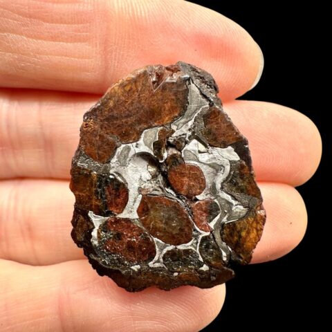Meteorit Seymchan 12g / koncový řez – Magadan, Rusko