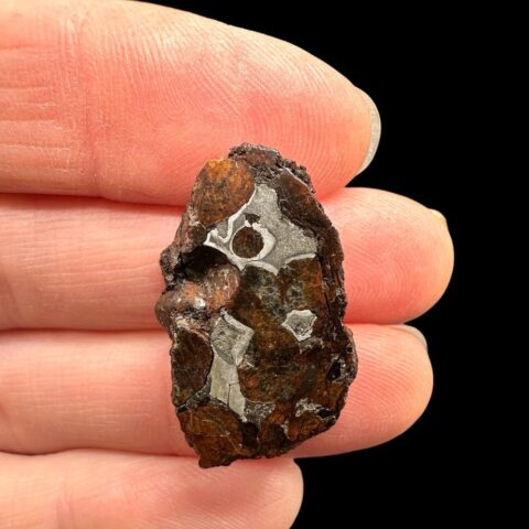 Meteorit Seymchan 5,1g / koncový řez – Magadan, Rusko