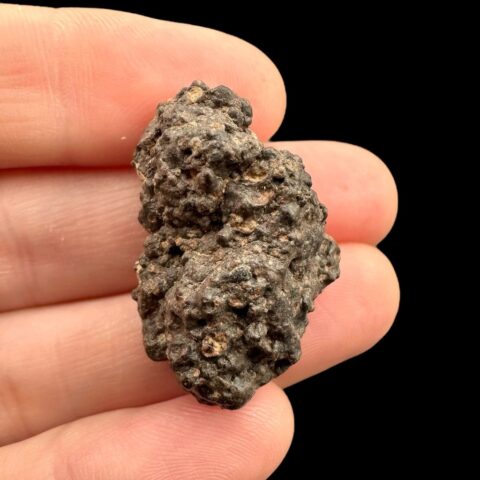 Meteorit Erg Chech 003 – 8,3g – Alžírsko