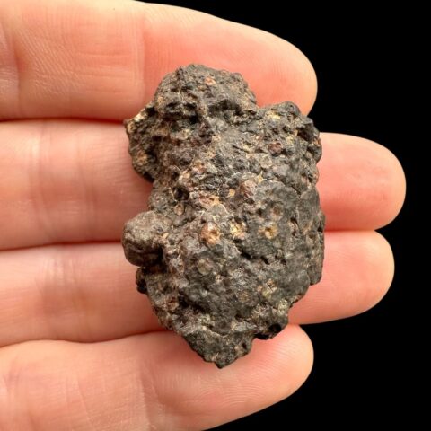 Meteorit Erg Chech 003 – 13,6g – Alžírsko
