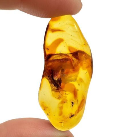 Hmyz v jantaru – Litva – 4,7g
