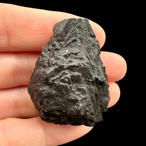 Meteorit Saint-Aubin 60,6g – Francie