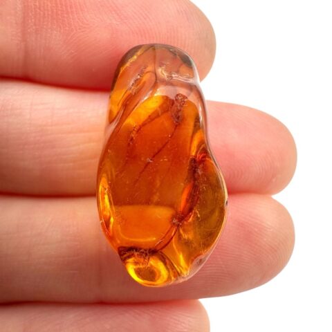 Jantar 1,6g – Litva