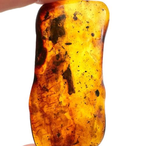 Hmyz v jantaru 15,2g – Litva