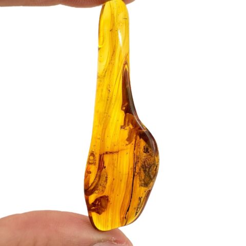 Hmyz v jantaru 5,1g – Litva