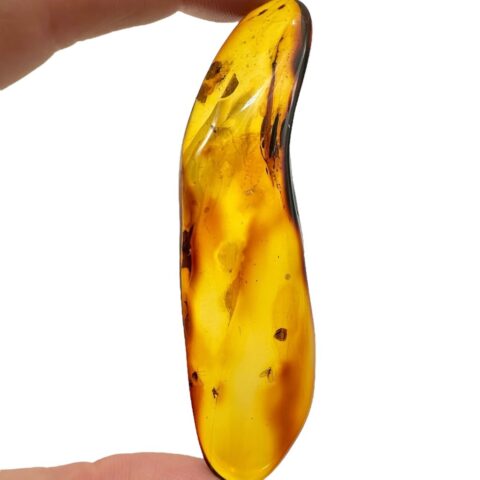 Hmyz v jantaru 9,8g – Litva