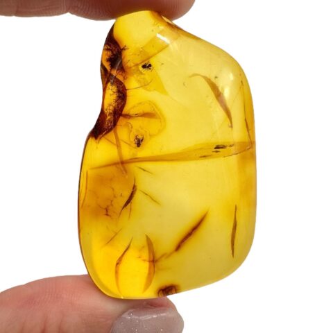 Hmyz v jantaru 9,7g – Litva