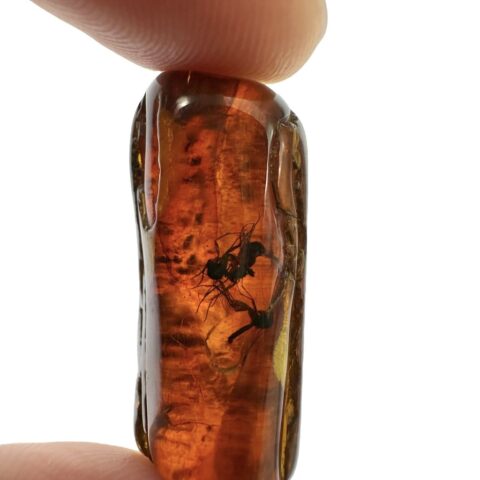 Hmyz v jantaru 2,7g – Litva