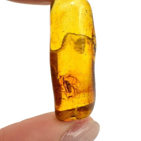 Hmyz v jantaru 2,5g – Litva