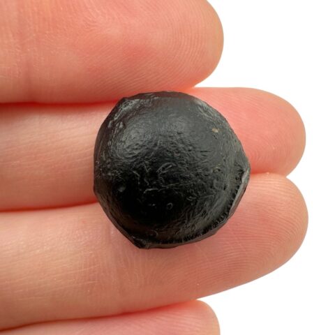 Australit “knoflík” 2,6g – Kalgoorlie, Západní Austrálie