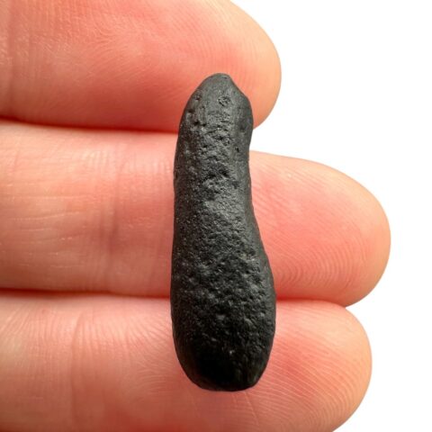 Australit “knoflík” 1,1g – Kalgoorlie, Západní Austrálie