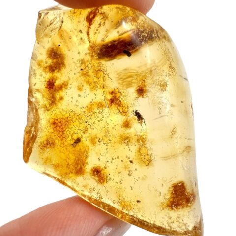 Hmyz v mladém jantaru (kopálu) 14g – Kolumbie