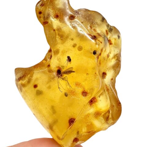 Hmyz v mladém jantaru (kopálu) 46,5g – Kolumbie
