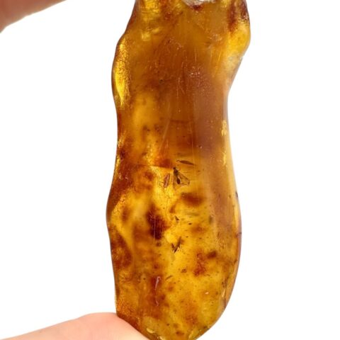 Hmyz v mladém jantaru (kopálu) 26,9g – Kolumbie