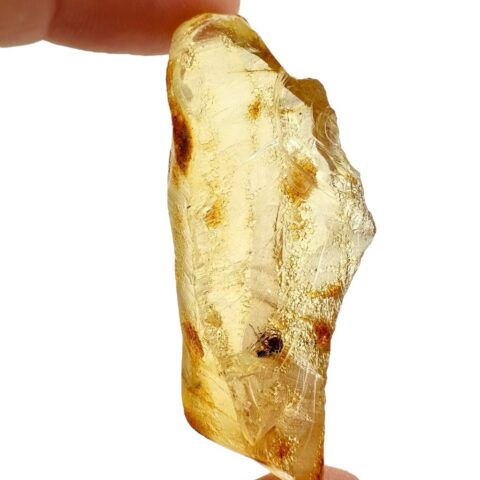 Hmyz v mladém jantaru (kopálu) 7,6g – Kolumbie