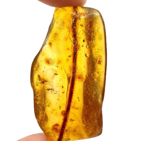 Hmyz v mladém jantaru (kopálu) 10,1g – Kolumbie