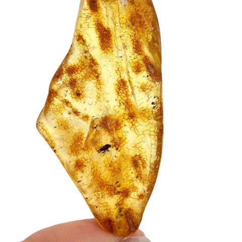 Hmyz v mladém jantaru (kopálu) 8,8g – Kolumbie