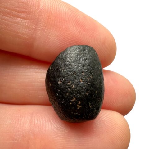 Australit “knoflík” 2,6g – Kalgoorlie, Západní Austrálie