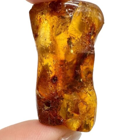 Hmyz v mladém jantaru (kopálu) 10,7g – Kolumbie