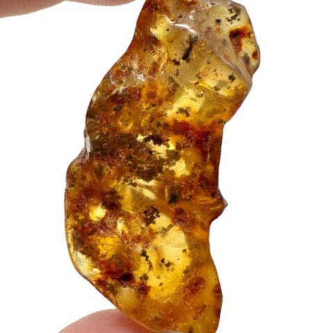 Hmyz v mladém jantaru (kopálu) 18,7g – Kolumbie