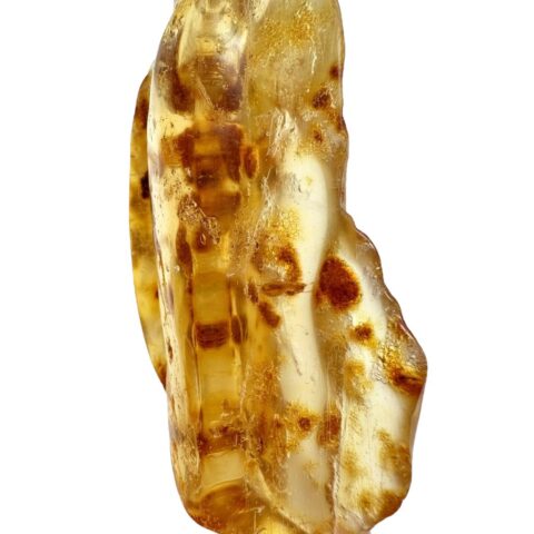 Hmyz v mladém jantaru (kopálu) 27,5g – Kolumbie