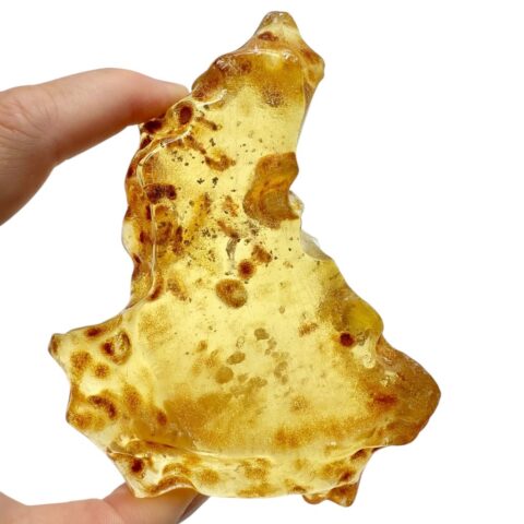 Hmyz v mladém jantaru (kopálu) 100,8g – Kolumbie