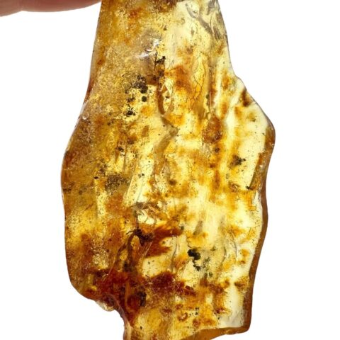 Hmyz v mladém jantaru (kopálu) 17,5g – Kolumbie