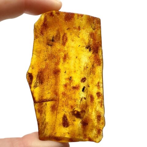 Hmyz v mladém jantaru (kopálu) 22,1g – Kolumbie