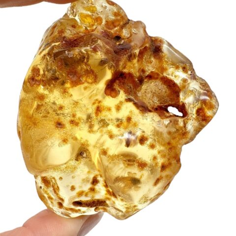 Hmyz v mladém jantaru (kopálu) 75g – Kolumbie